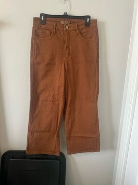 Judy Blue Wide-Leg Jeans in Rust